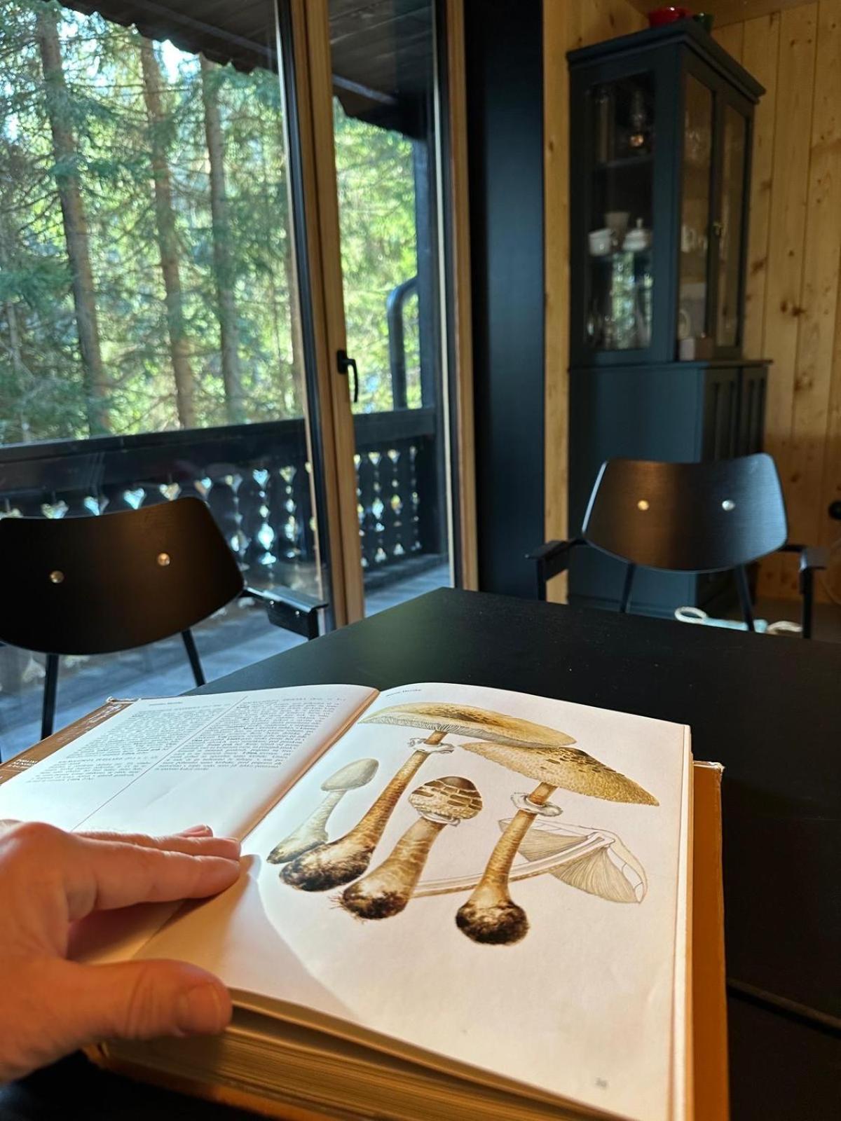 Goreljek Cosy Lodge Pokljuka מראה חיצוני תמונה
