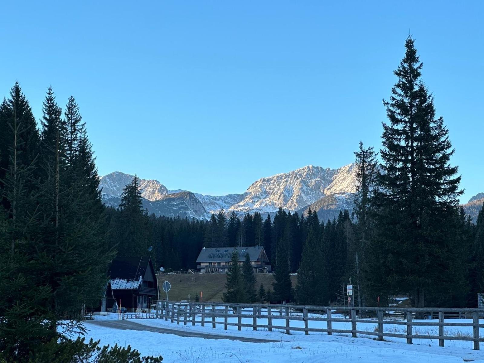 Goreljek Cosy Lodge Pokljuka מראה חיצוני תמונה