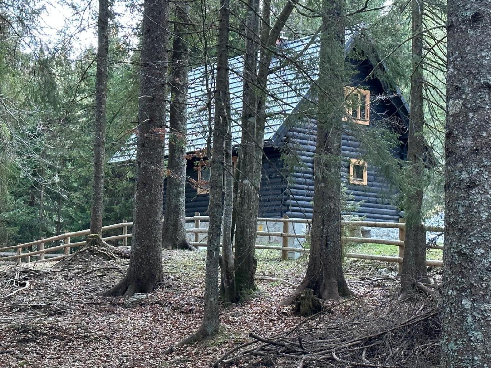 Goreljek Cosy Lodge Pokljuka מראה חיצוני תמונה