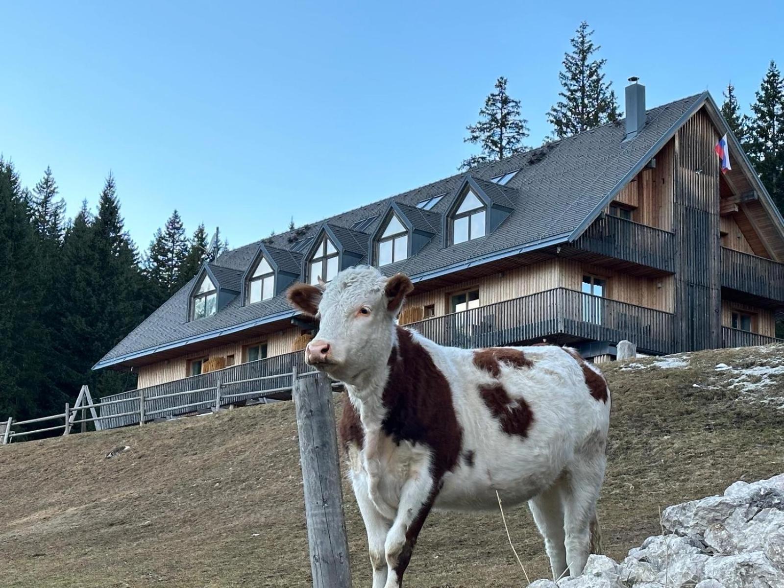 Goreljek Cosy Lodge Pokljuka מראה חיצוני תמונה